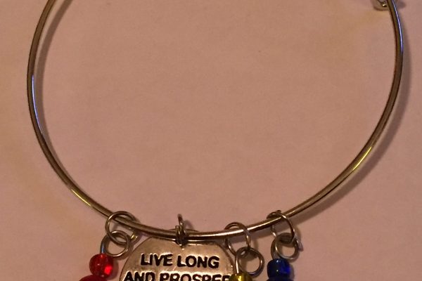 Star Trek Charm Bracelet